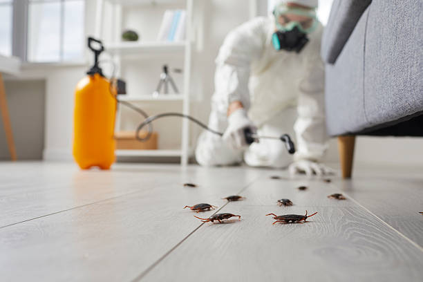 Trusted Rodent Control service in Valparaiso, FL - Nex Pest Control