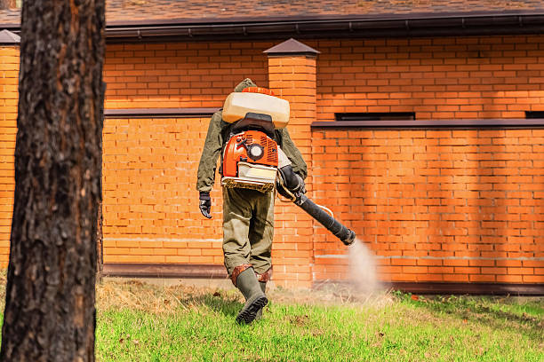 Trusted Ant Control service in Valparaiso, FL - Nex Pest Control